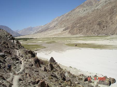 Nubra m.Sandwüste/Kamelen